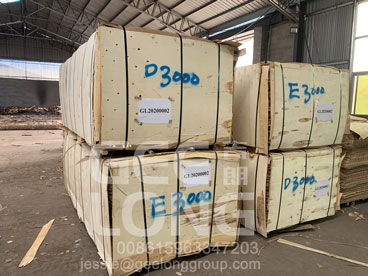 GeeLong ekspor 1full kontainer birch veneer ke klien kami