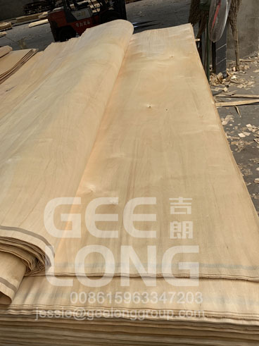 GeeLong ekspor 1full kontainer birch veneer ke klien kami